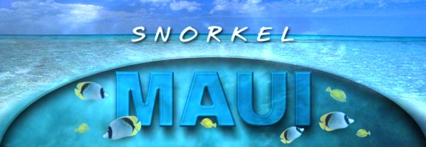 Maui Fish Id Chart